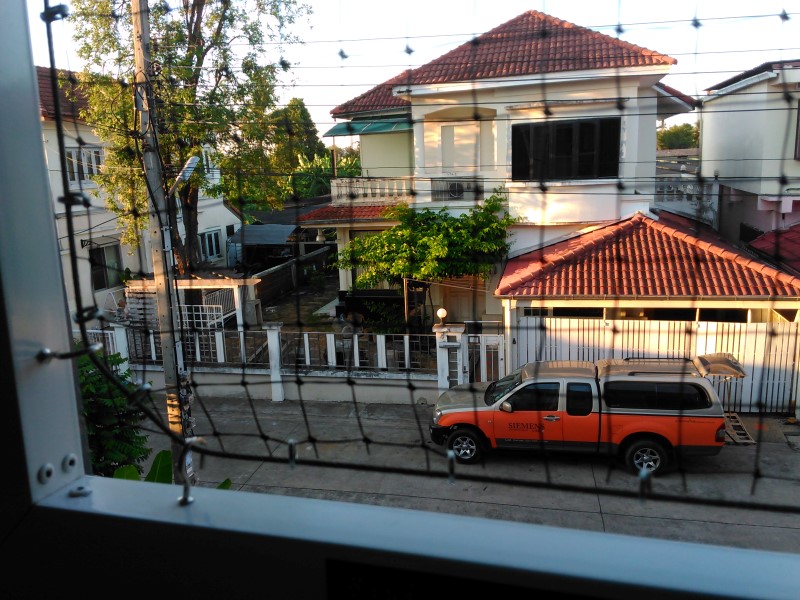 บริการไล่นก ป้องกันนก