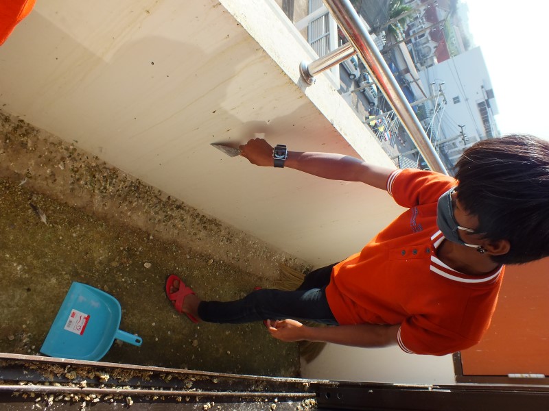 บริการไล่นก ป้องกันนก